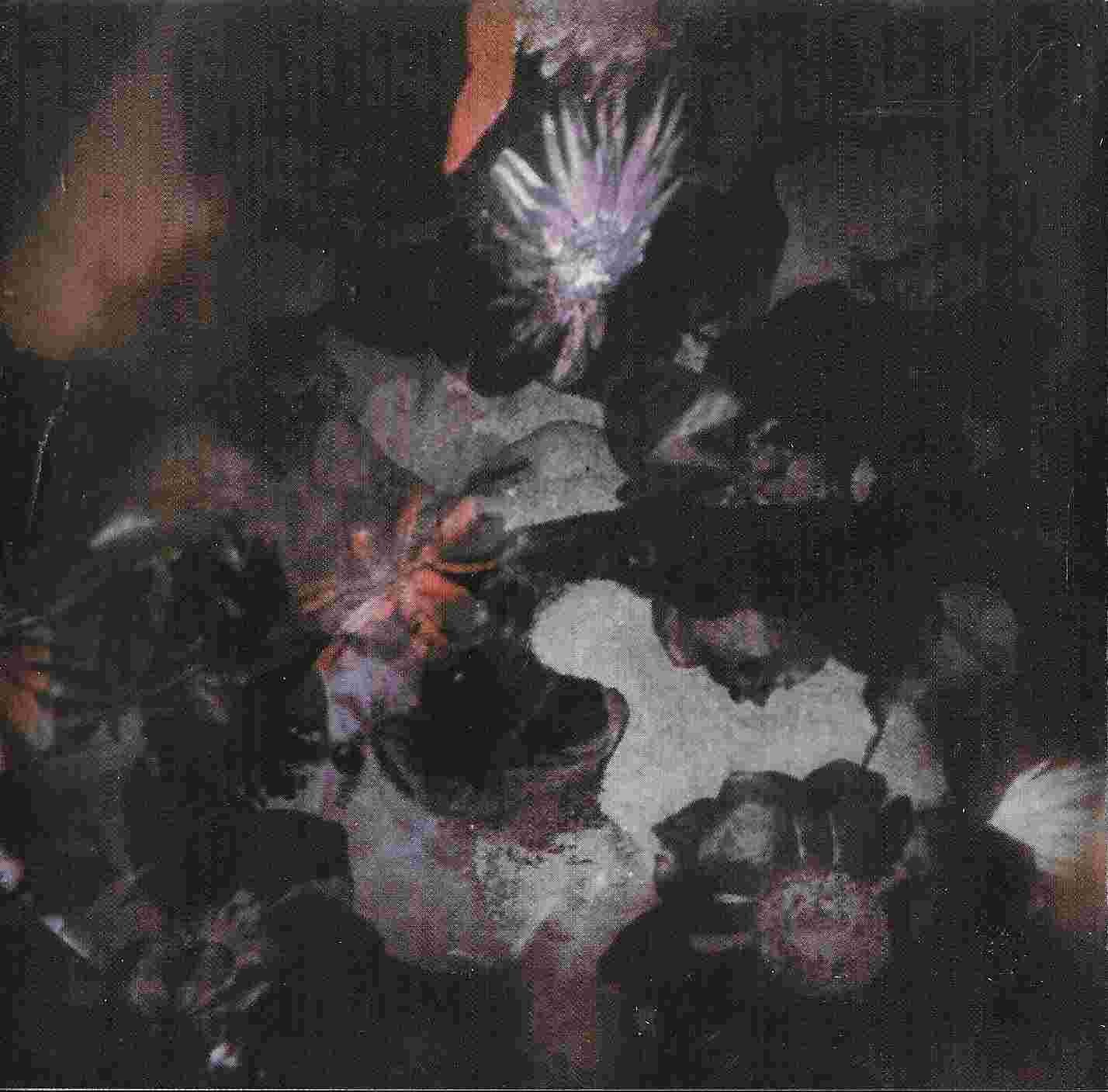 Middle of cover of 839353 - 2